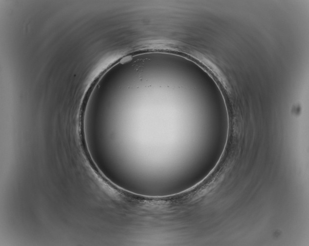 X0000095911285200801111224