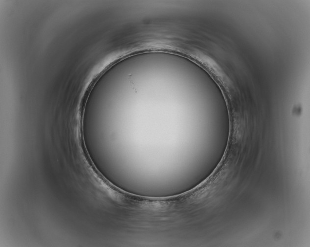 X0000095911286200801111224