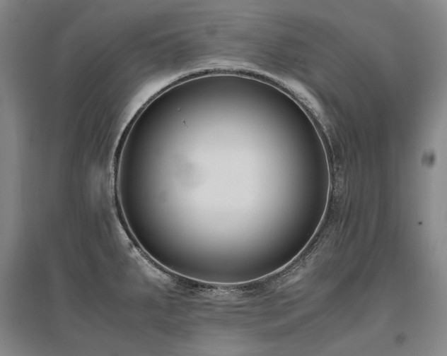 X0000095911287200801111224