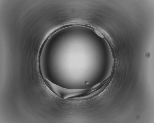 X0000095911288200801111224