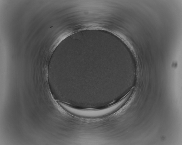 X0000095911289200801111224