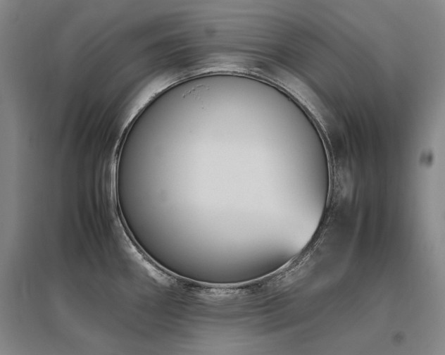 X0000095911290200801111224