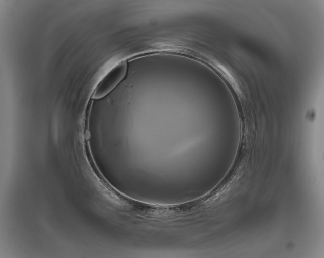 X0000095911291200801111224