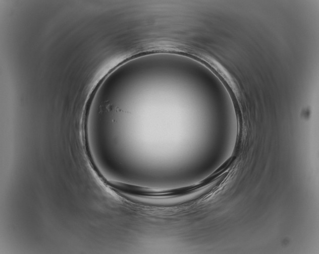 X0000095911293200801111224