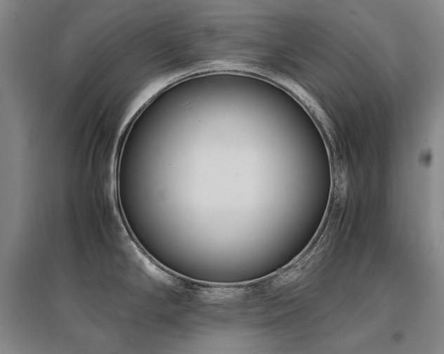 X0000095911294200801111224