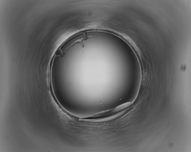 X0000095911295200801111224