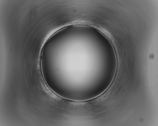 X0000095911296200801111224