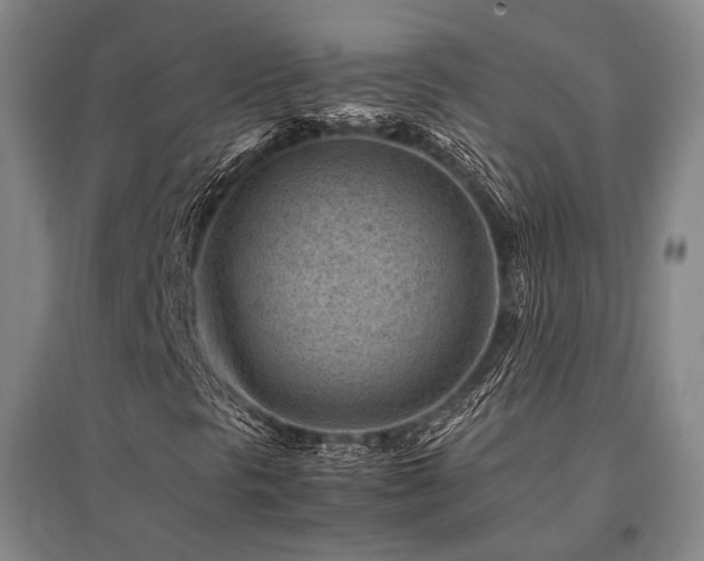 X0000095911297200801111223