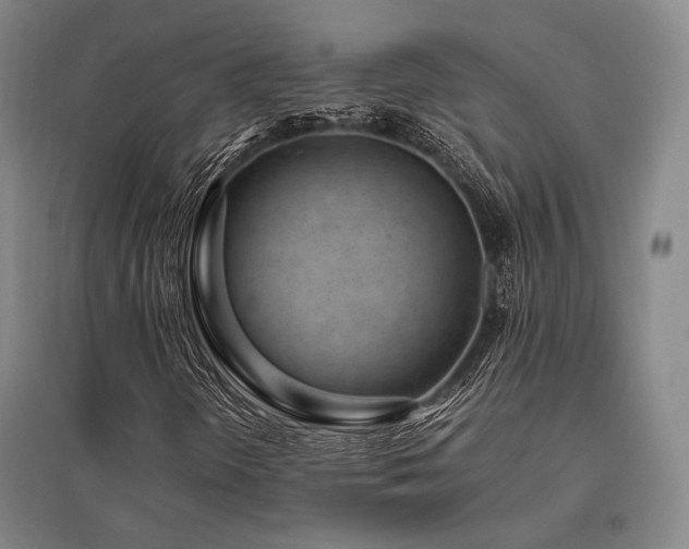 X0000095911298200801111223