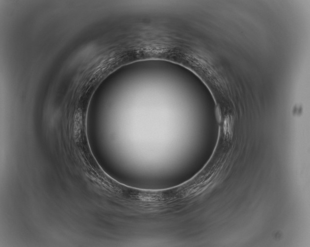 X0000095911299200801111223