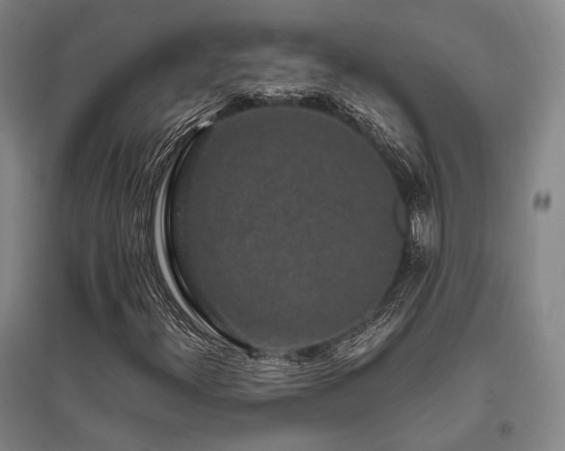 X0000095911300200801111223