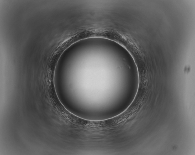 X0000095911301200801111223