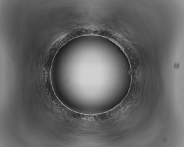 X0000095911302200801111223