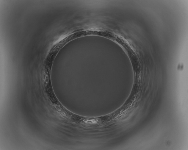 X0000095911303200801111223