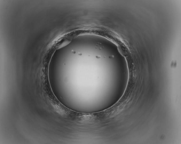 X0000095911304200801111223