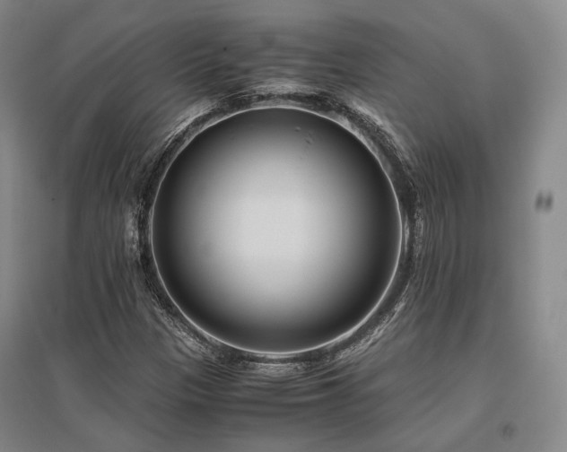 X0000095911305200801111223