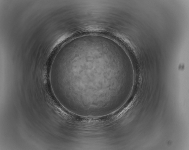 X0000095911306200801111223
