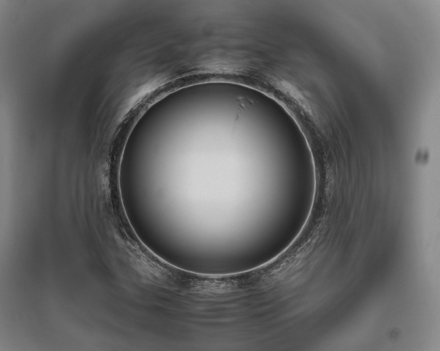 X0000095911307200801111223