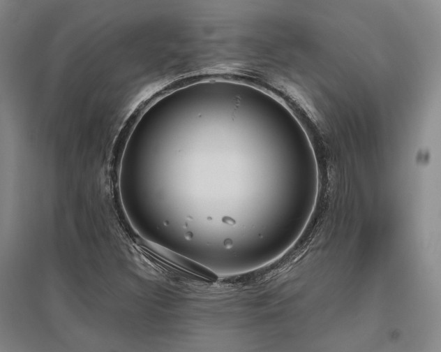 X0000095911308200801111223