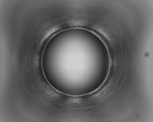 X0000095911309200801111223