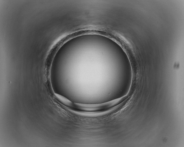 X0000095911310200801111223