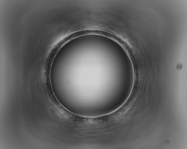 X0000095911311200801111223