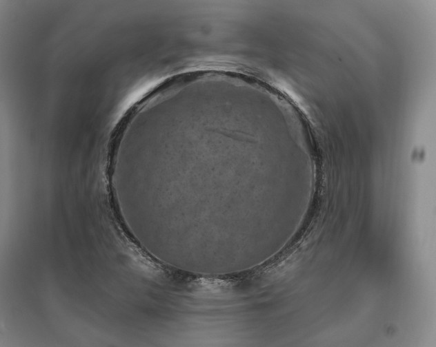 X0000095911312200801111223