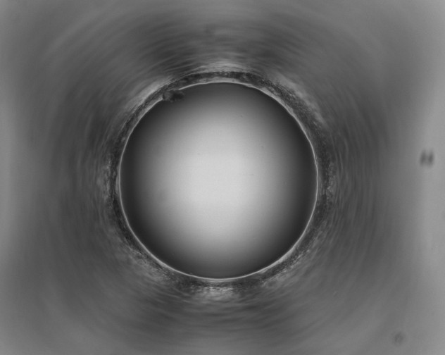 X0000095911313200801111223