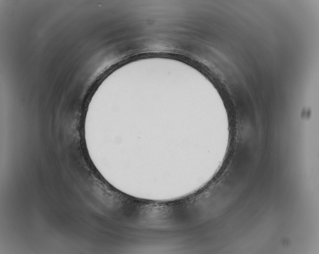 X0000095911314200801111223