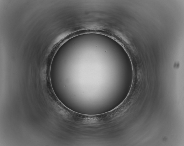 X0000095911315200801111223