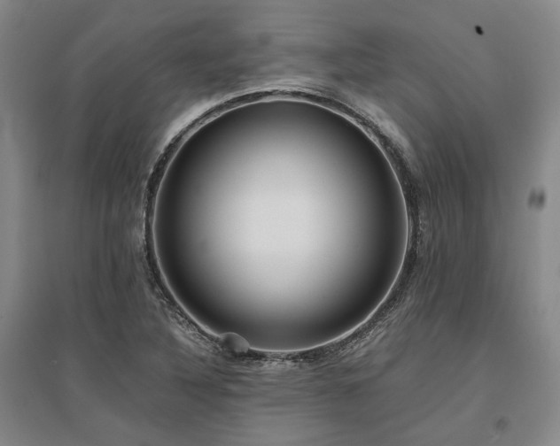 X0000095911316200801111223