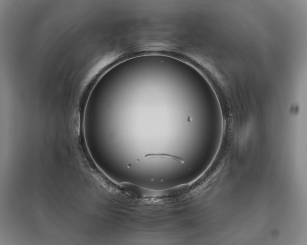 X0000095911317200801111223