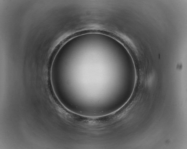 X0000095911318200801111223