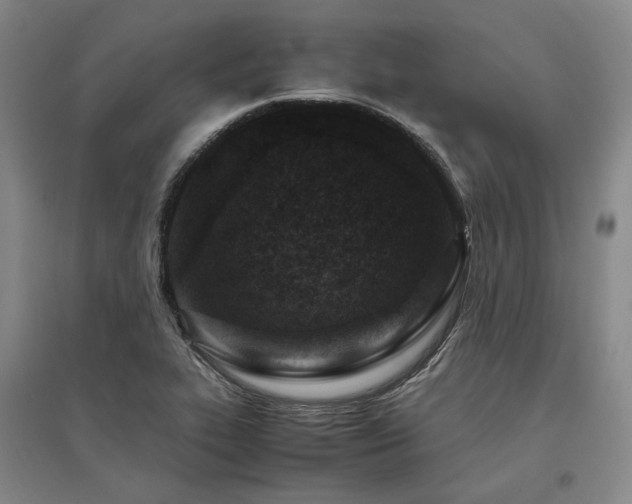 X0000095911319200801111223