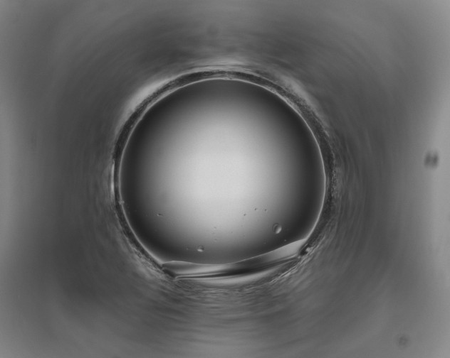 X0000095911320200801111223