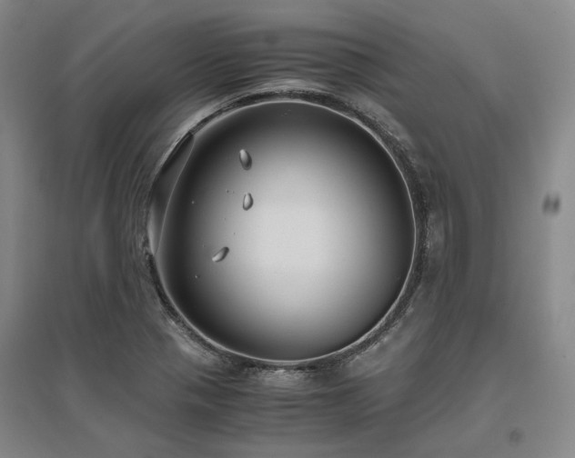 X0000095911321200801111223