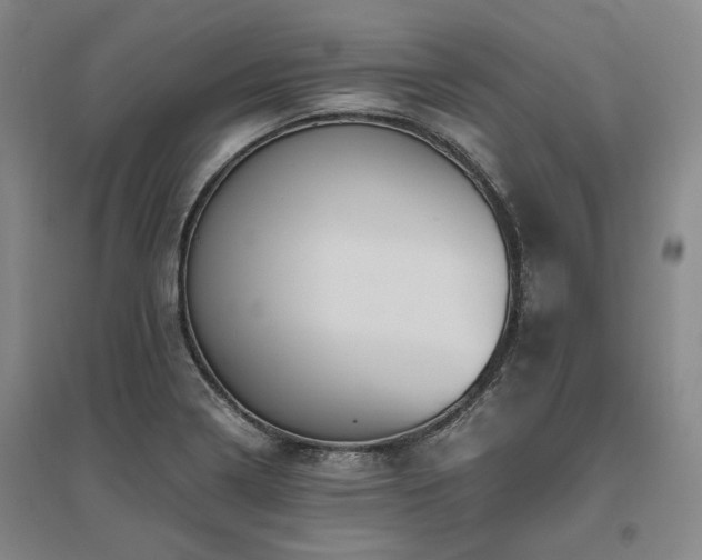 X0000095911322200801111223