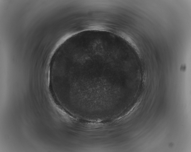 X0000095911323200801111223