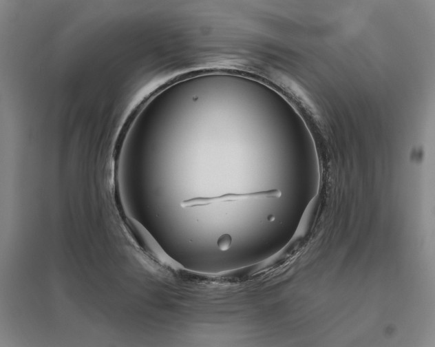 X0000095911324200801111223