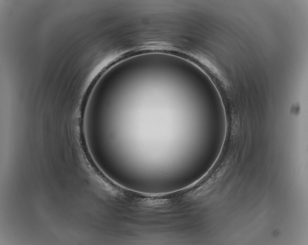 X0000095911325200801111223