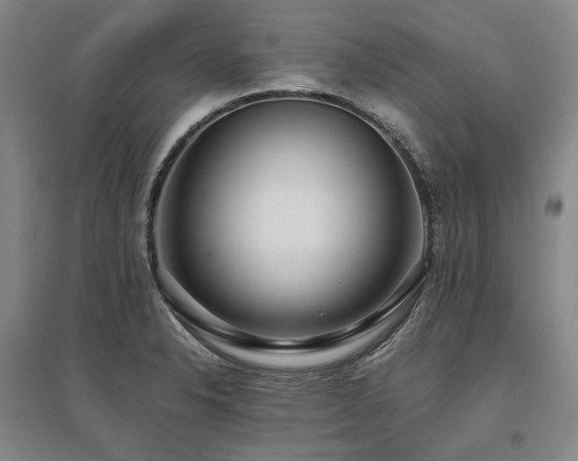 X0000095911326200801111223
