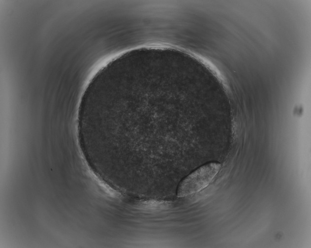 X0000095911327200801111223