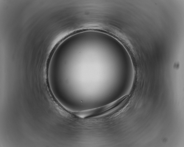 X0000095911328200801111223