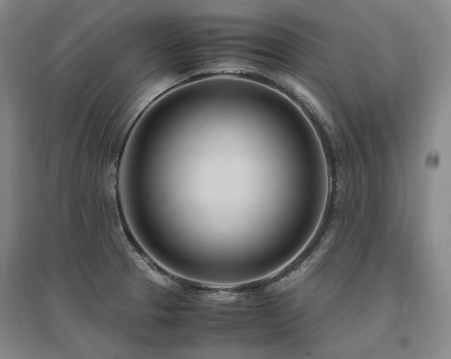 X0000095911329200801111223