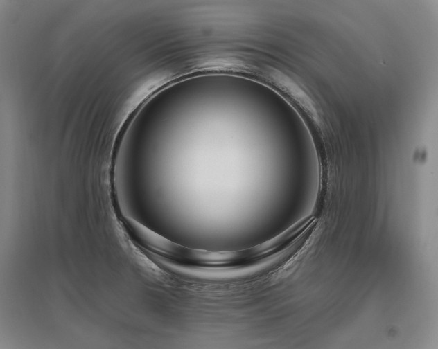 X0000095911330200801111223