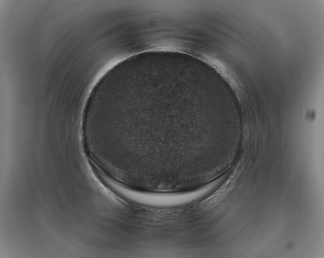 X0000095911331200801111223