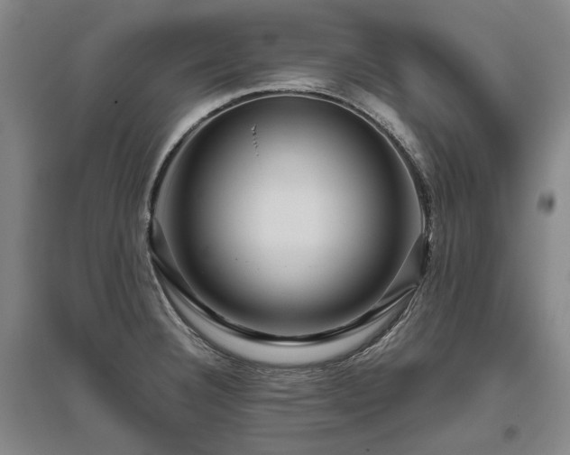 X0000095911332200801111223