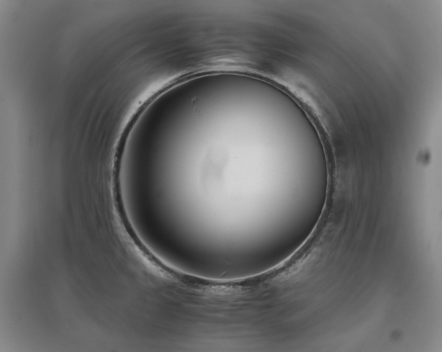 X0000095911333200801111223