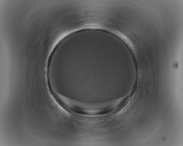 X0000095911334200801111223