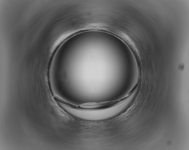 X0000095911336200801111223